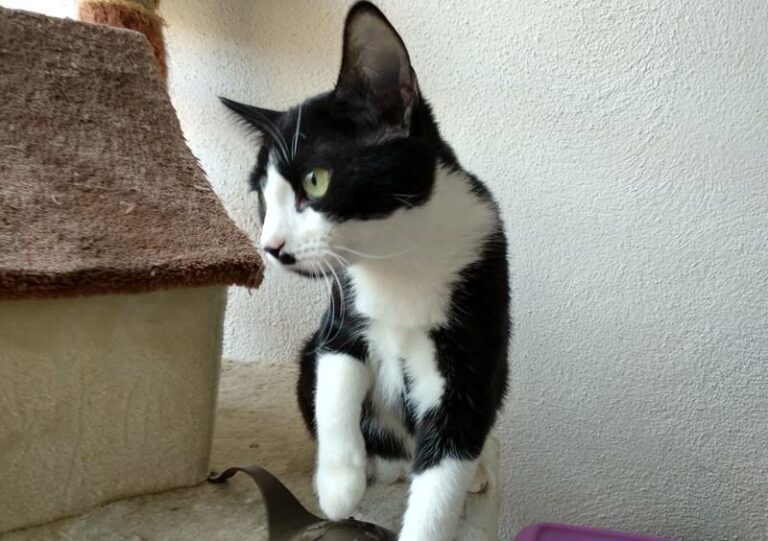 multimedia-foto59879-63-1