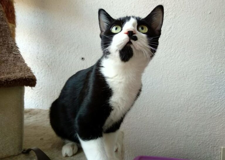 multimedia-foto59880-63-1