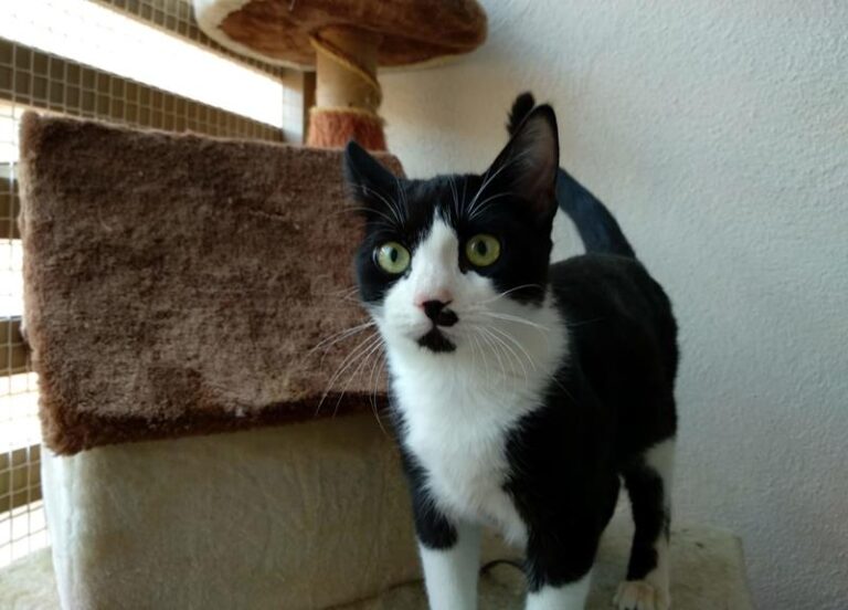 multimedia-foto59881-63-1