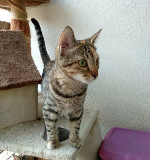 multimedia-foto59882-110-1