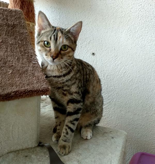 multimedia-foto59883-110-1