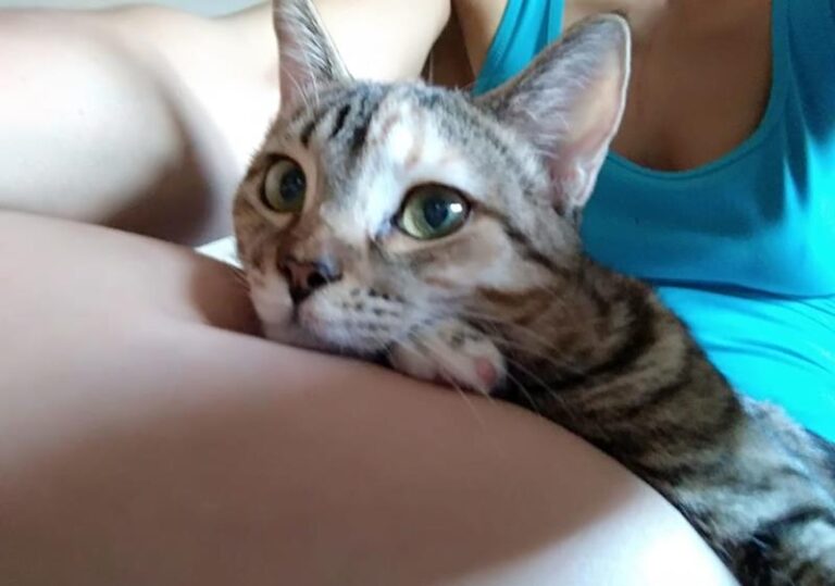 multimedia-foto59884-110-1