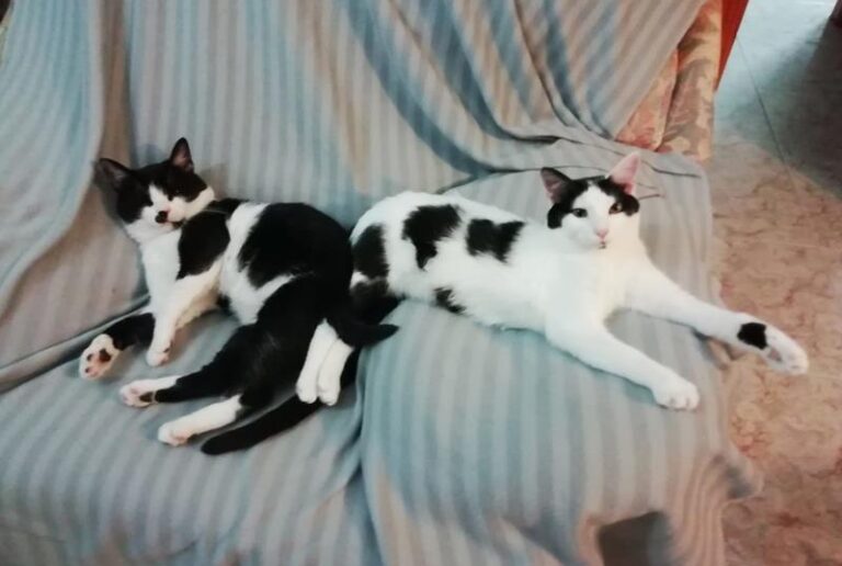 multimedia-foto59905-894-1