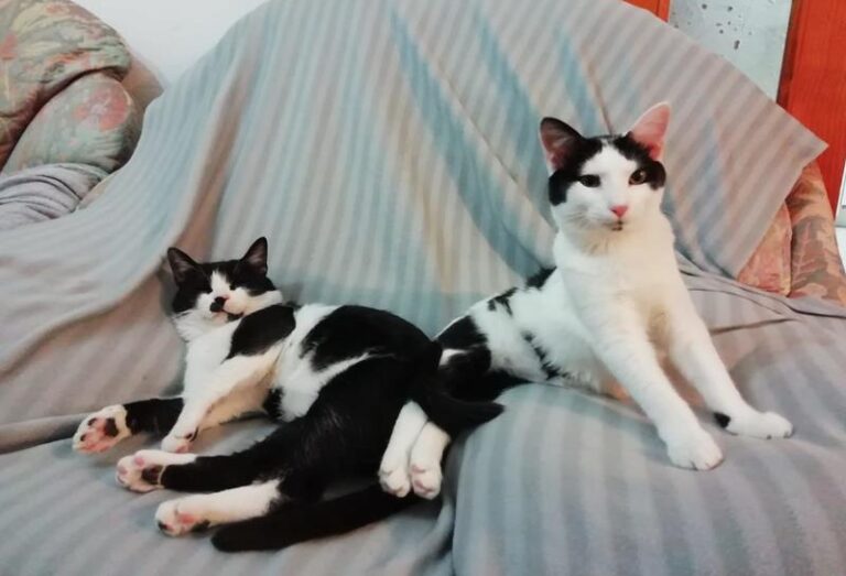 multimedia-foto59906-895-1