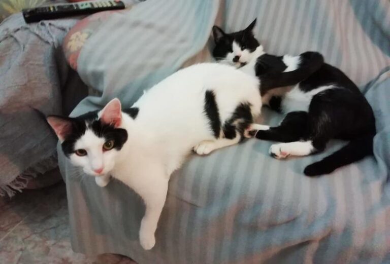 multimedia-foto59908-895-1