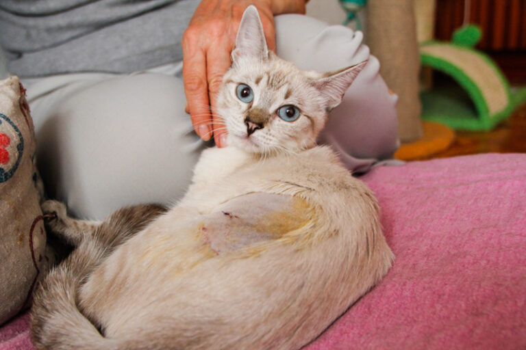 multimedia-foto59926-526-1