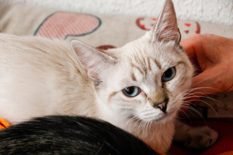 multimedia-foto59928-526-1