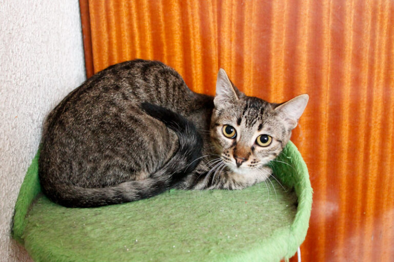 multimedia-foto59934-622-1