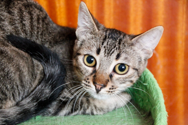 multimedia-foto59935-623-1