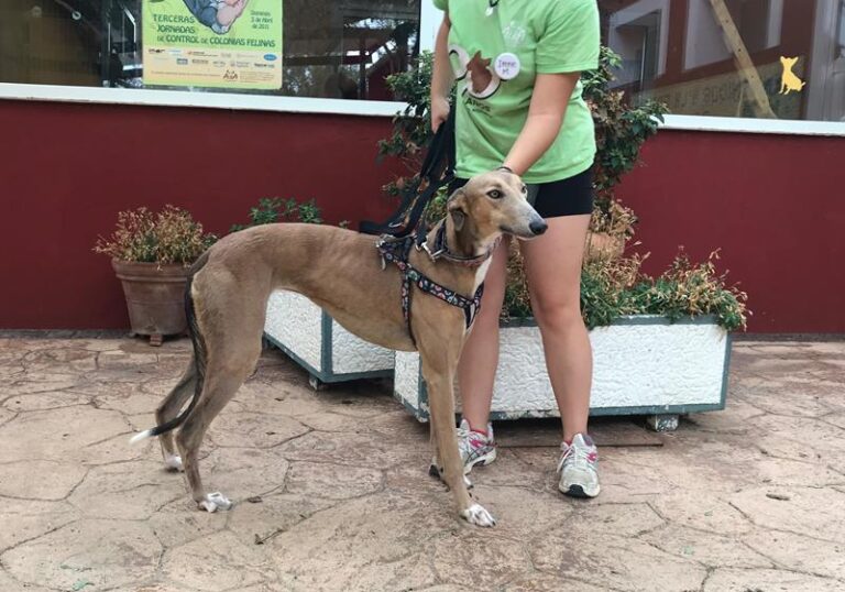 multimedia-foto59996-450-1