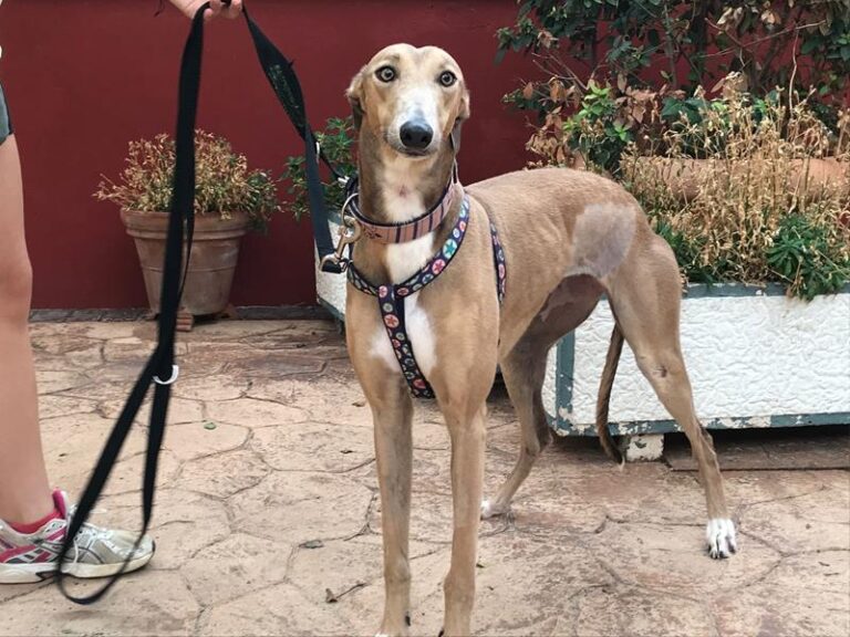 multimedia-foto59997-450-1