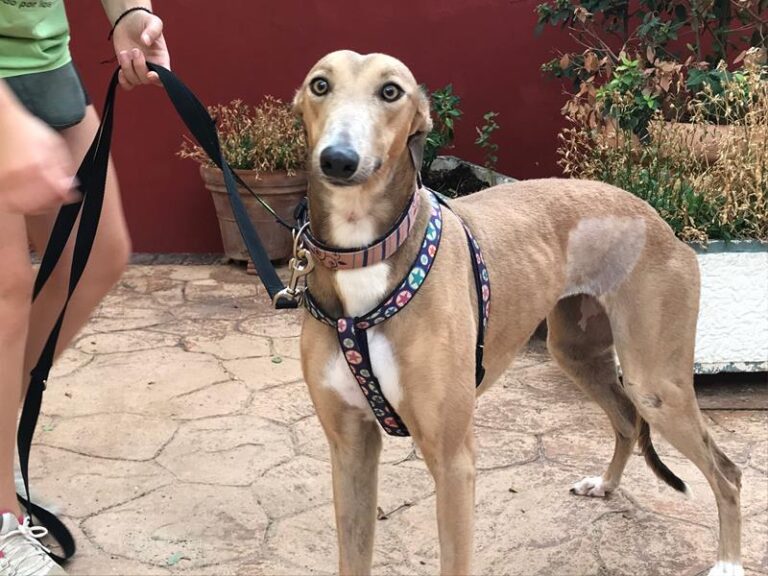 multimedia-foto59998-450-1