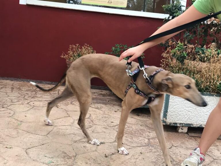 multimedia-foto59999-450-1