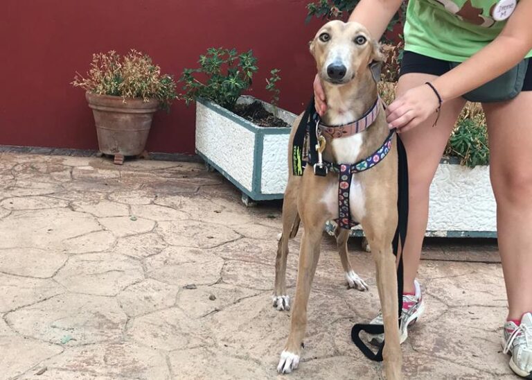 multimedia-foto60000-450-1