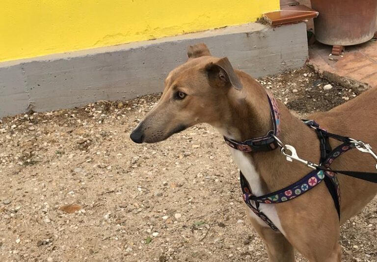 multimedia-foto60002-451-1