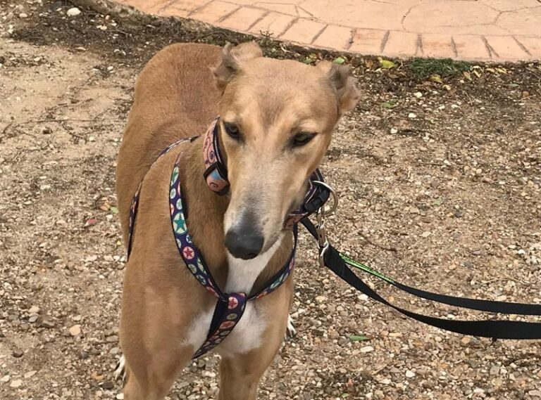 multimedia-foto60003-451-1