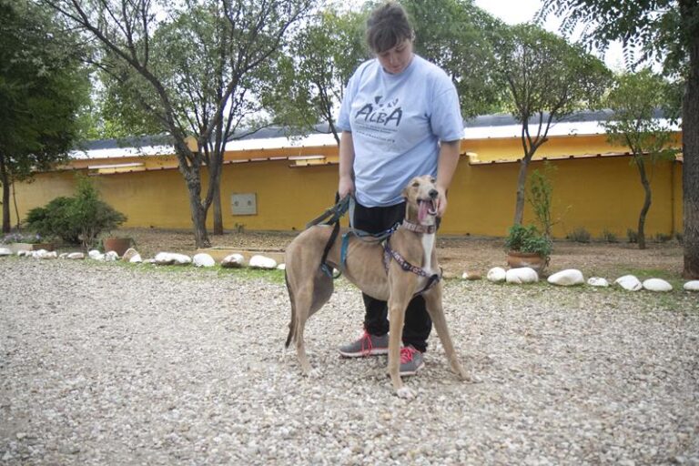 multimedia-foto60005-631-1