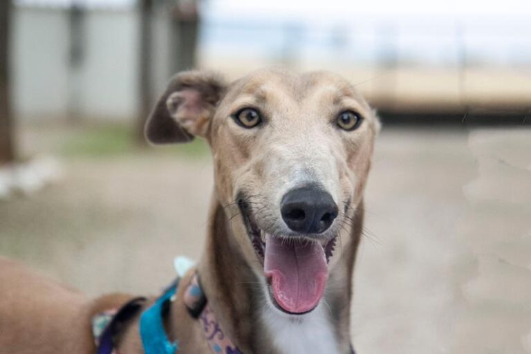 multimedia-foto60006-631-1