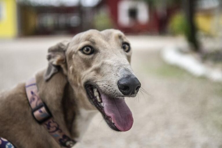 multimedia-foto60007-631-1