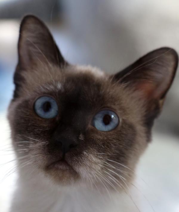 multimedia-foto60008-698-1