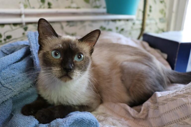 multimedia-foto60011-699-1