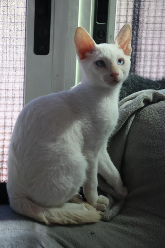 multimedia-foto60019-540-1