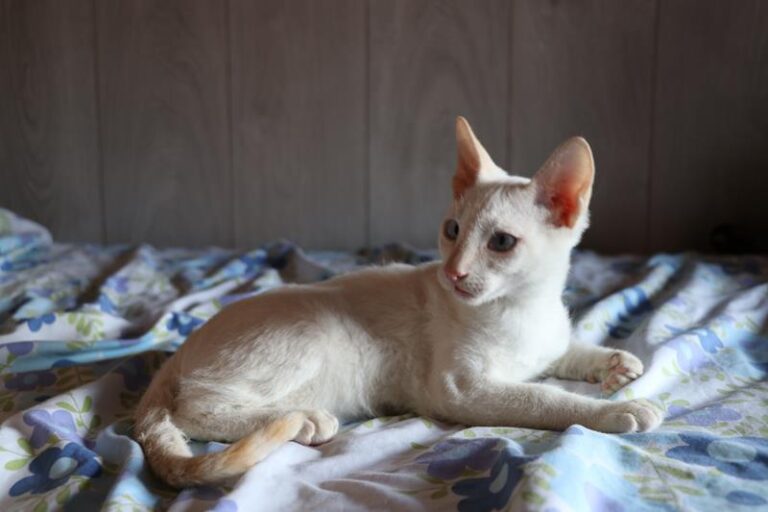 multimedia-foto60022-541-1