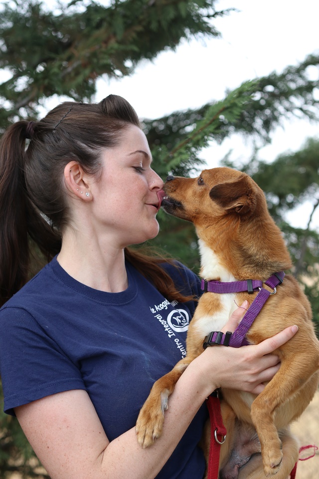 multimedia-foto60024-697-1