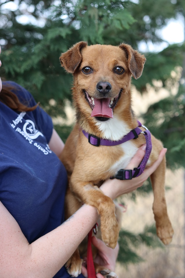 multimedia-foto60025-697-1