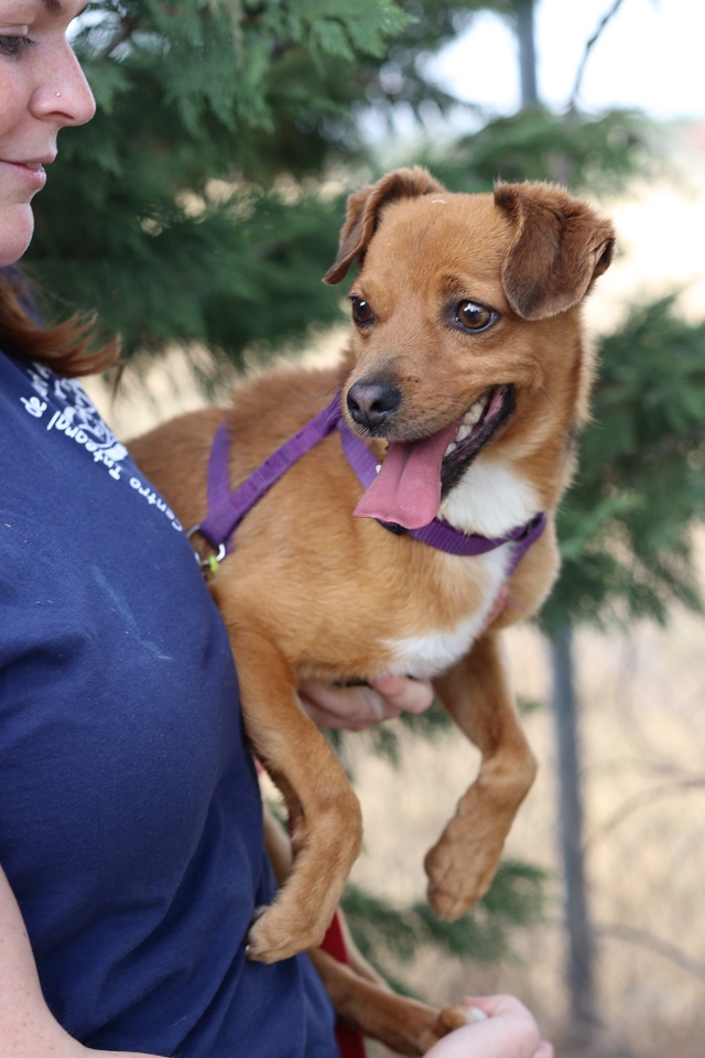 multimedia-foto60026-697-1