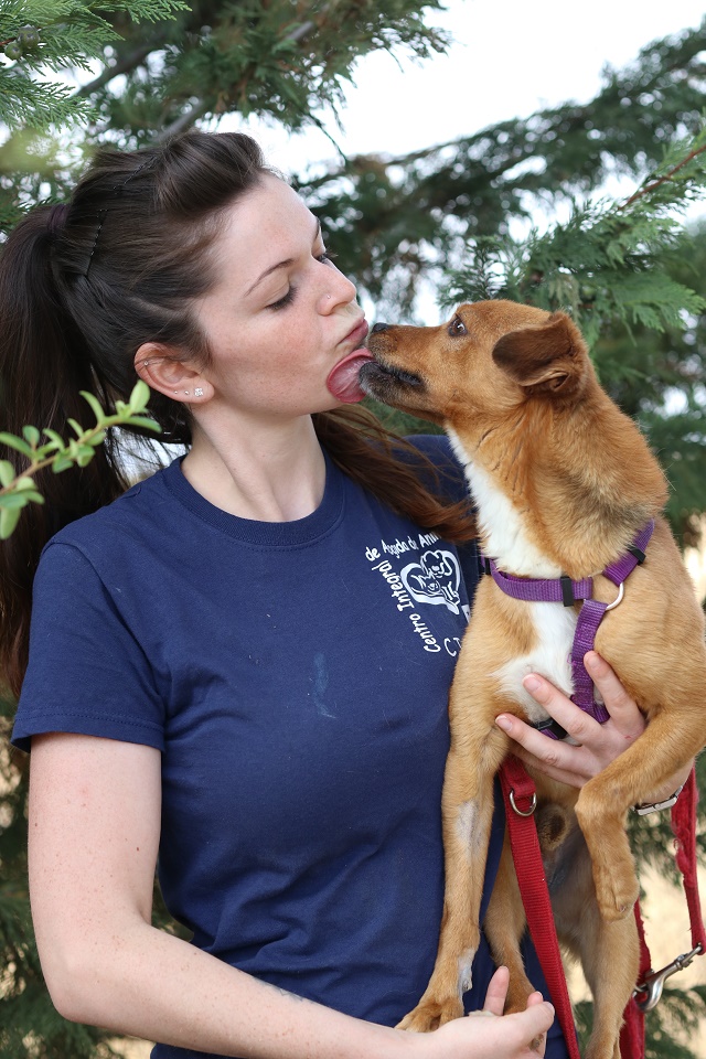 multimedia-foto60027-697-1