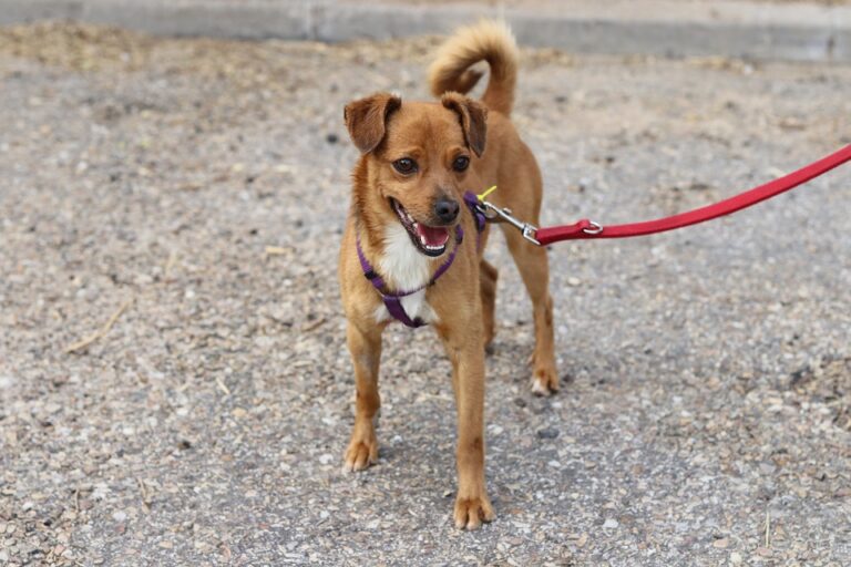 multimedia-foto60028-698-1