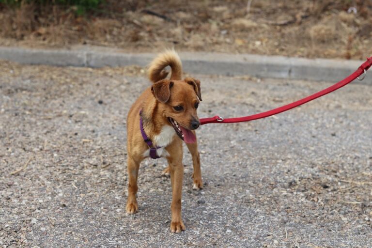 multimedia-foto60029-698-1