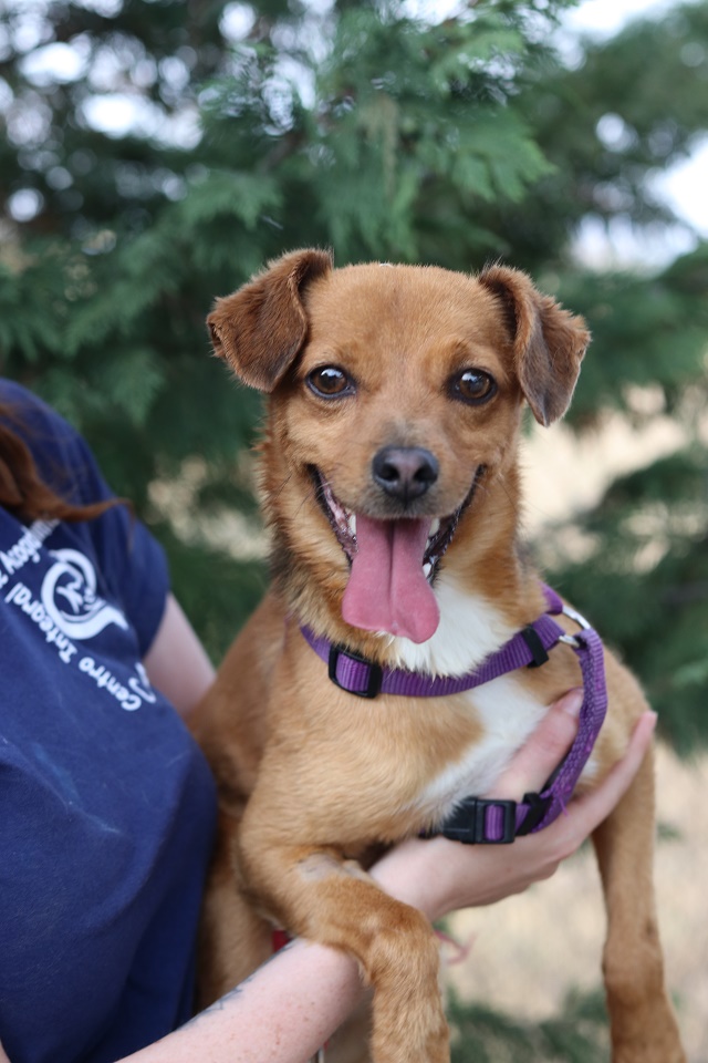 multimedia-foto60030-698-1