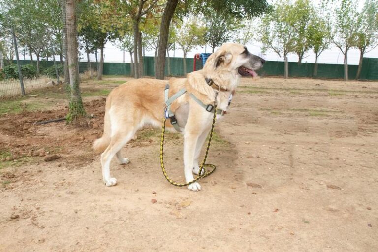 multimedia-foto60034-584-1