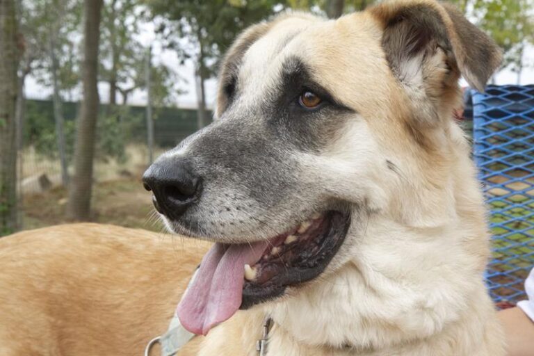 multimedia-foto60035-585-1