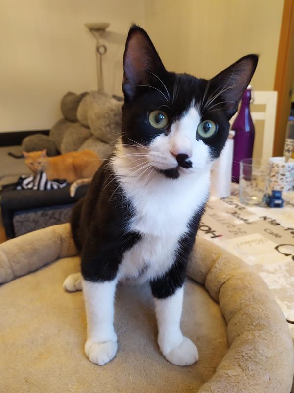 multimedia-foto60063-543-1