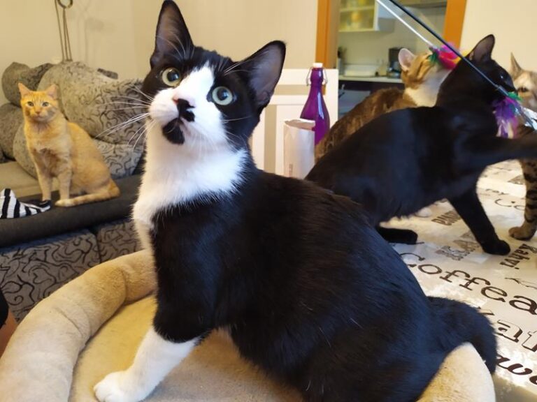 multimedia-foto60064-543-1