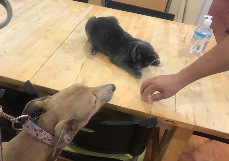 multimedia-foto60081-141-1