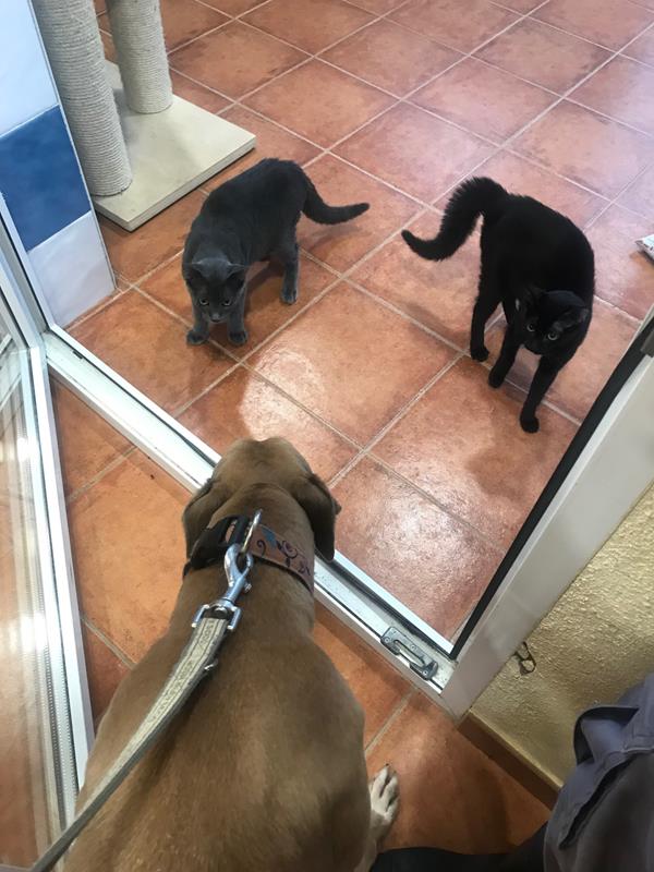 multimedia-foto60082-141-1