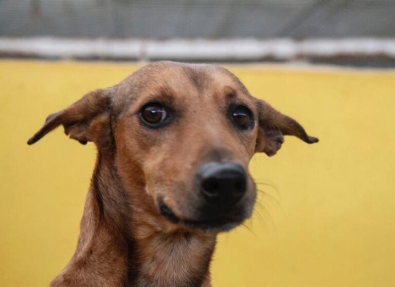 multimedia-foto60096-424-1