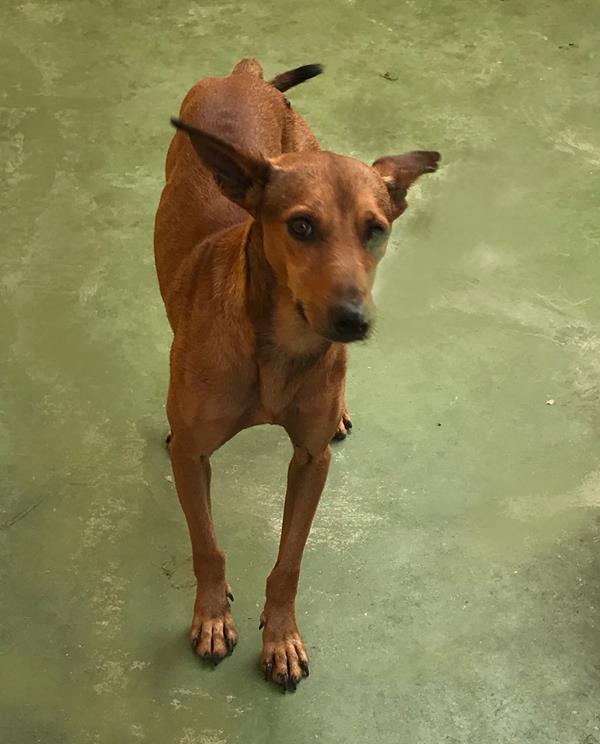 multimedia-foto60097-424-1