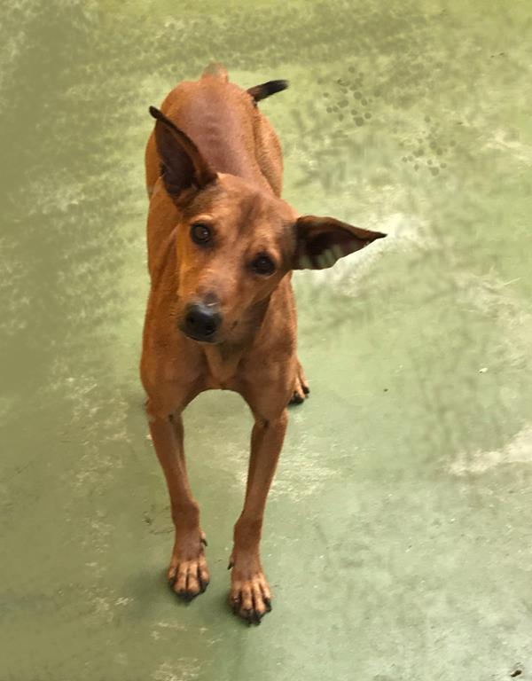 multimedia-foto60098-424-1