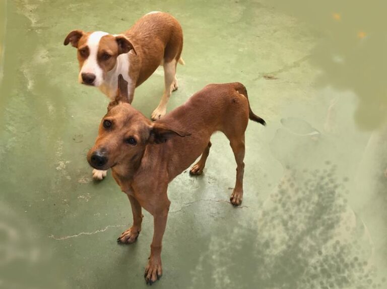 multimedia-foto60099-425-1