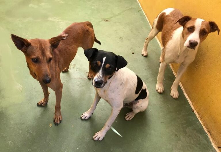 multimedia-foto60100-425-1