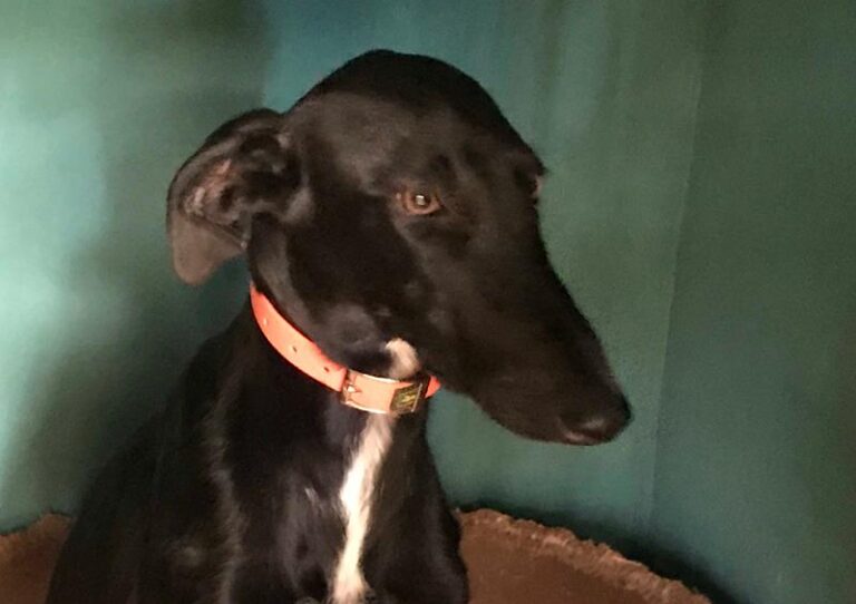 multimedia-foto60111-726-1