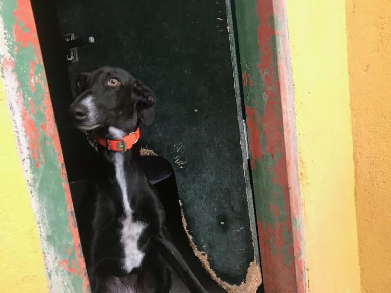 multimedia-foto60112-727-1