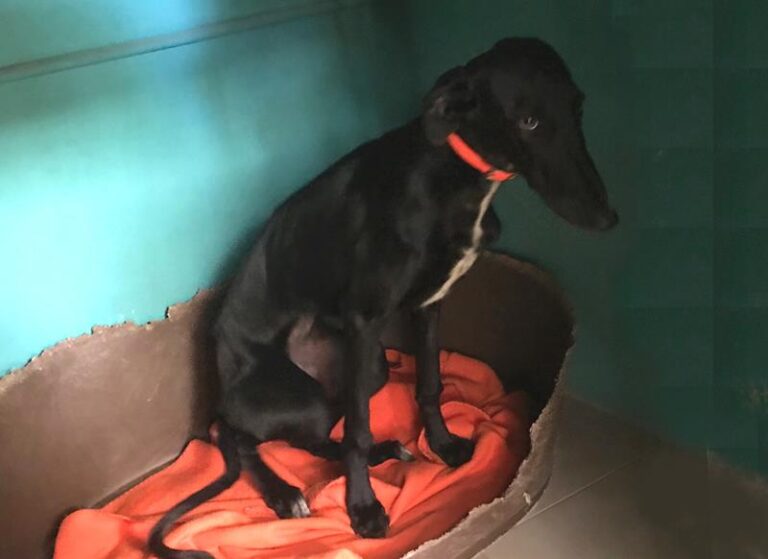 multimedia-foto60113-727-1