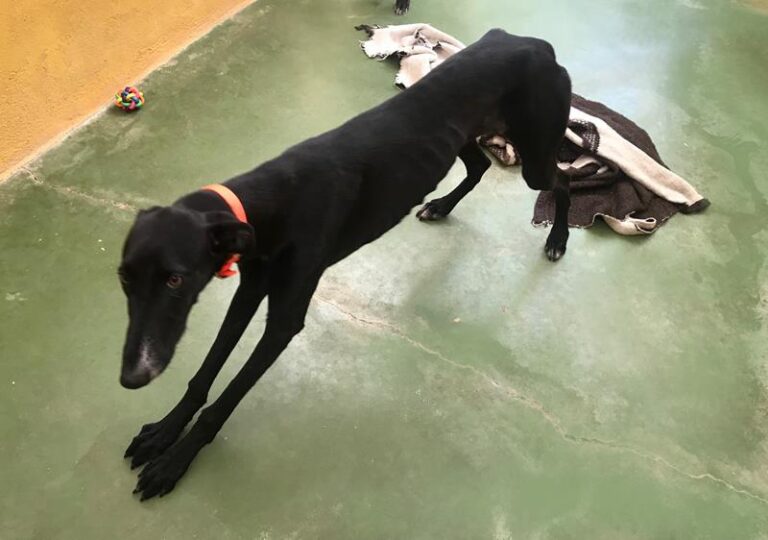 multimedia-foto60114-727-1