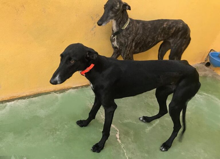 multimedia-foto60115-727-1